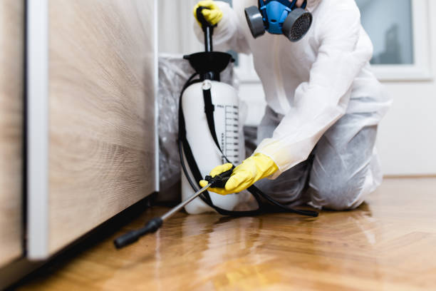 Best Residential Pest Control  in Mounds View, MN