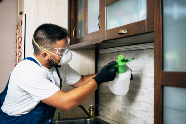 Best Mosquito Control Services  in Mounds View, MN