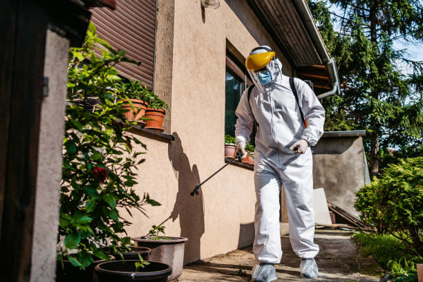 Best Affordable Pest Control Services  in Mounds View, MN