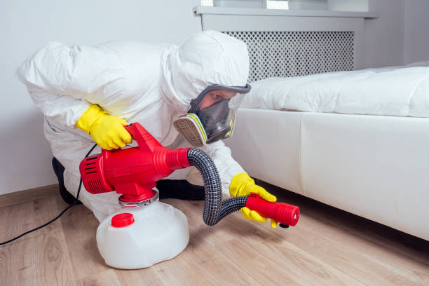 Best Flea Control Services  in Mounds View, MN