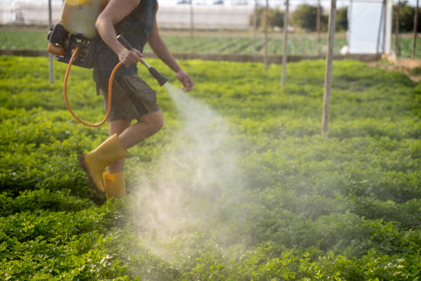 Best Best Pest Control Companies  in Mounds View, MN