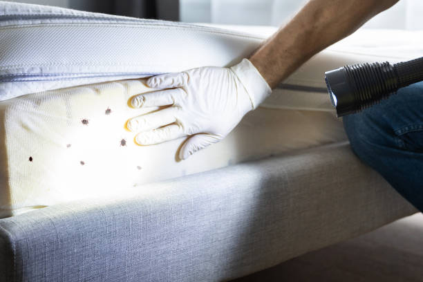 Best Pest Control Near Me  in Mounds View, MN