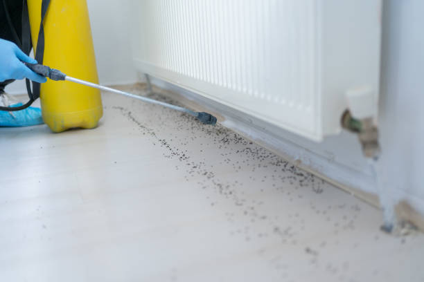 Best Pest Inspection Near Me  in Mounds View, MN
