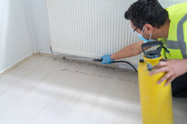 Best Wasp Removal Services  in Mounds View, MN
