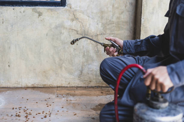 Best Pest Prevention Services  in Mounds View, MN